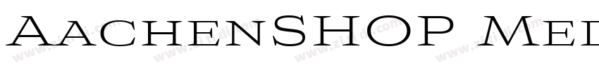 AachenSHOP Medium Re字体转换
